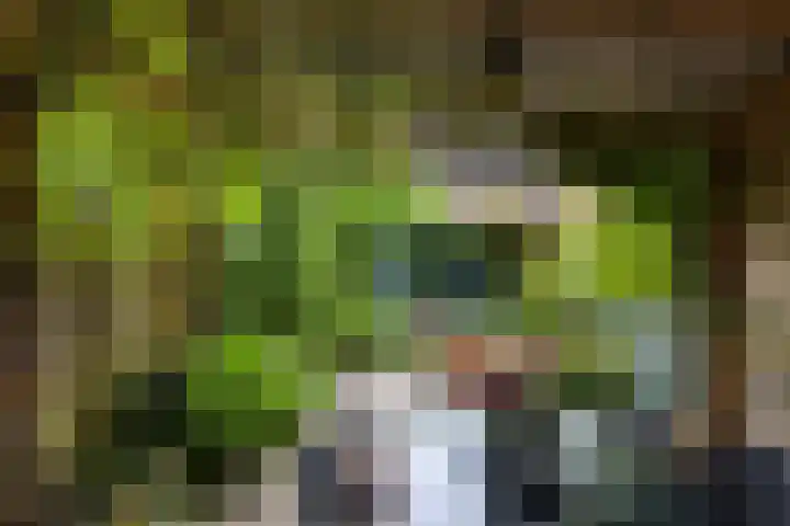 Kokmeeuw 13 Leusden thumbnail 28