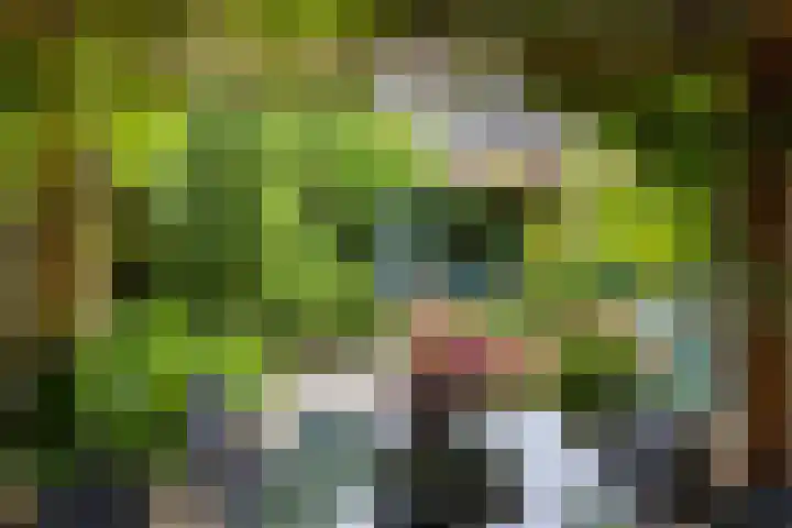 Kokmeeuw 13 Leusden thumbnail 29
