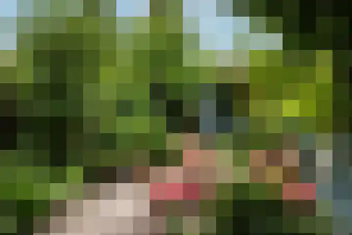 Kokmeeuw 13 Leusden thumbnail 30