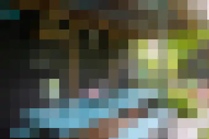 Kokmeeuw 13 Leusden thumbnail 32