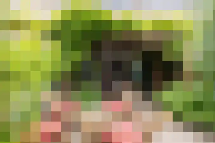 Kokmeeuw 13 Leusden thumbnail 35