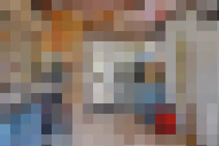 Kokmeeuw 13 Leusden thumbnail 37