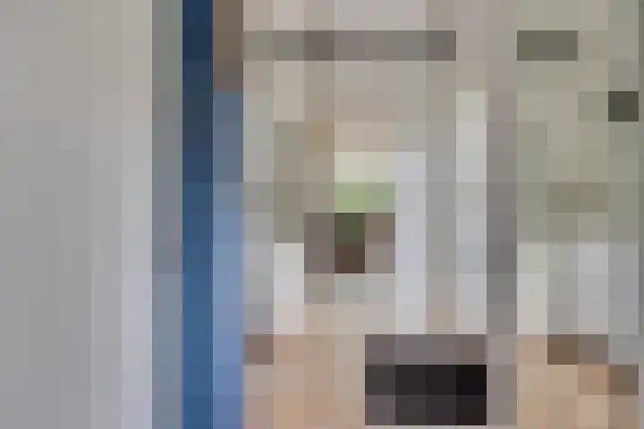 Kokmeeuw 13 Leusden thumbnail 39