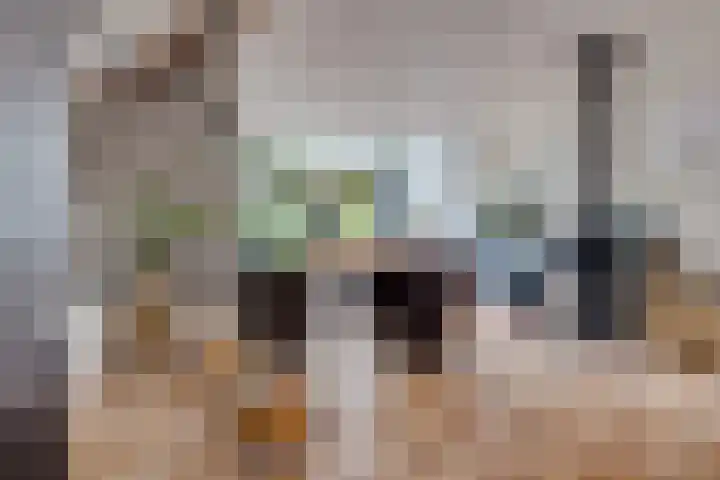 Kokmeeuw 13 Leusden thumbnail 4