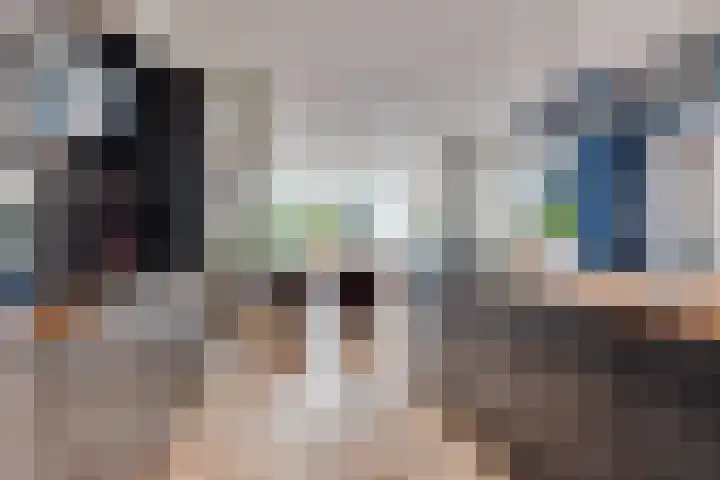 Kokmeeuw 13 Leusden thumbnail 6