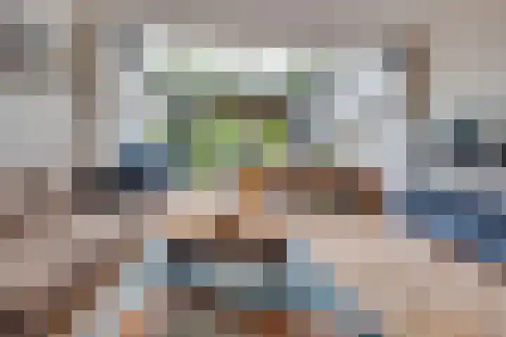 Kokmeeuw 13 Leusden thumbnail 7