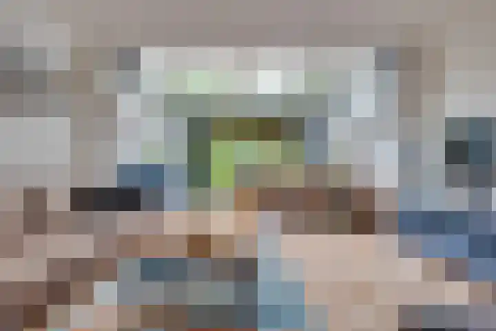 Kokmeeuw 13 Leusden thumbnail 8