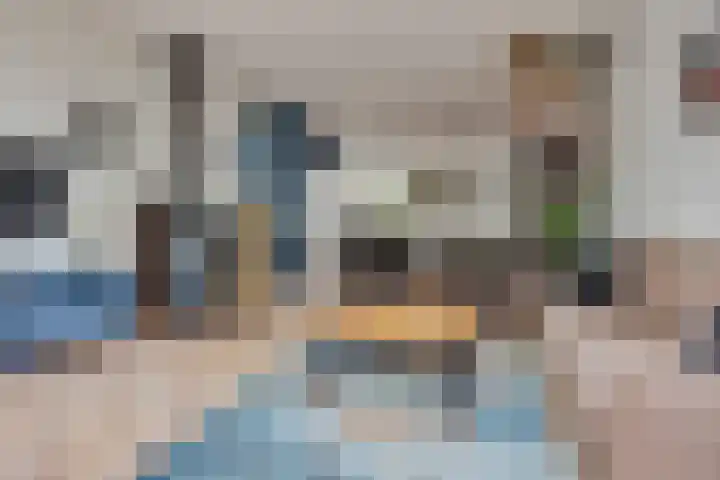 Kokmeeuw 13 Leusden thumbnail 9