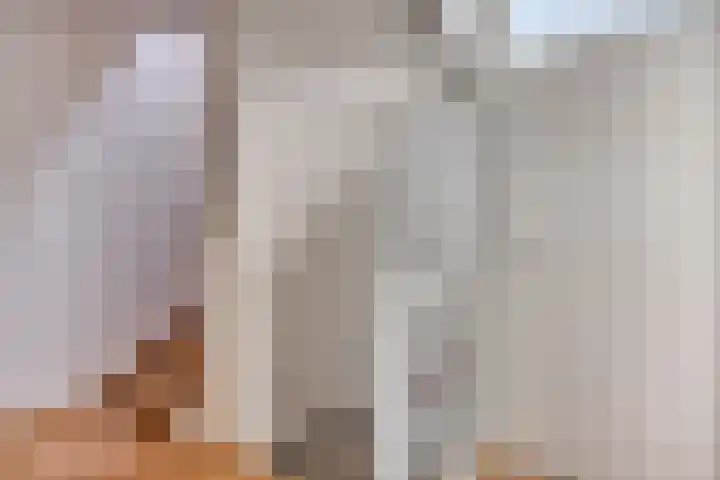 Kokmeeuw 2 Weert thumbnail 12