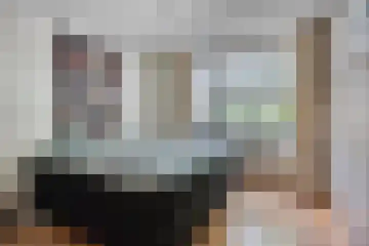Kokmeeuw 2 Weert thumbnail 13