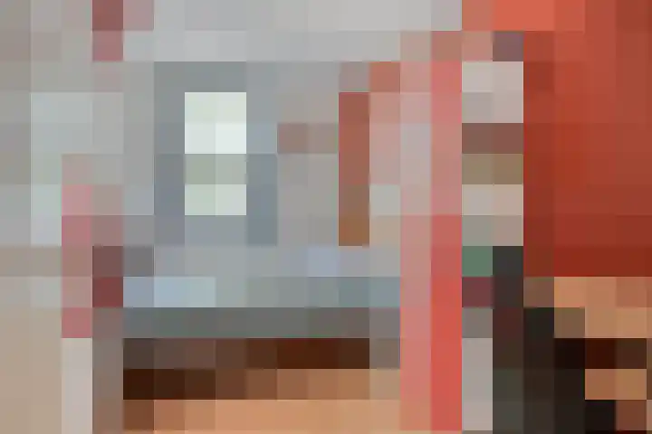 Kokmeeuw 2 Weert thumbnail 15