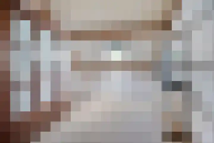 Kokmeeuw 2 Weert thumbnail 18