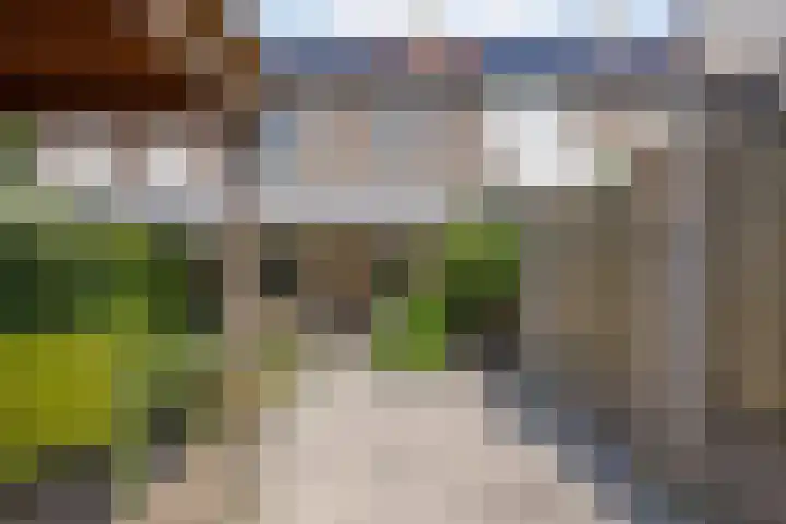 Kokmeeuw 2 Weert thumbnail 21