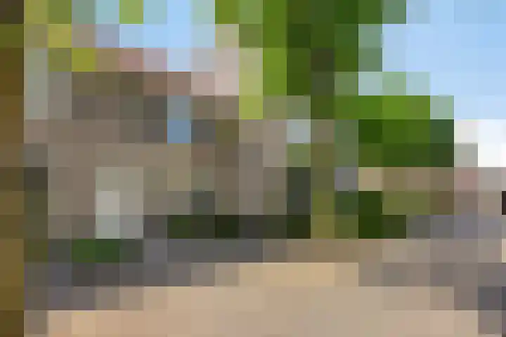 Kokmeeuw 2 Weert thumbnail 22