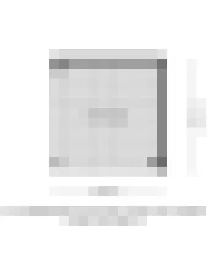 Kokmeeuw 2 Weert thumbnail 28