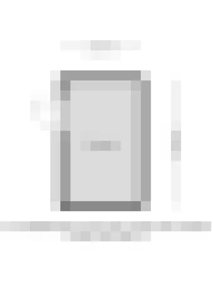 Kokmeeuw 2 Weert thumbnail 29