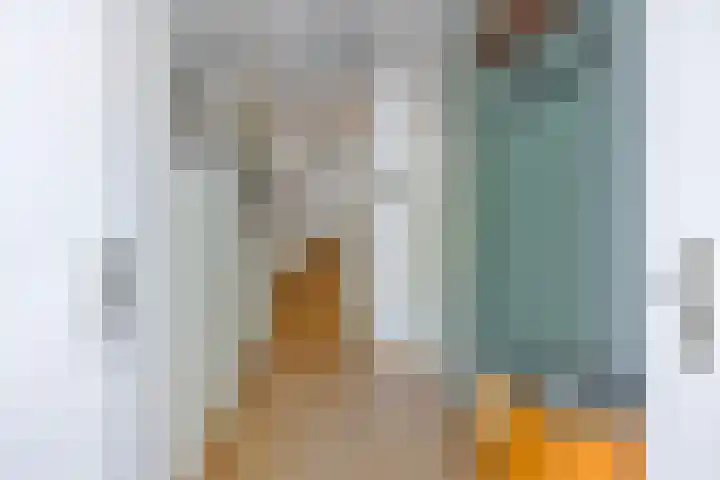 Kokmeeuw 2 Weert thumbnail 5