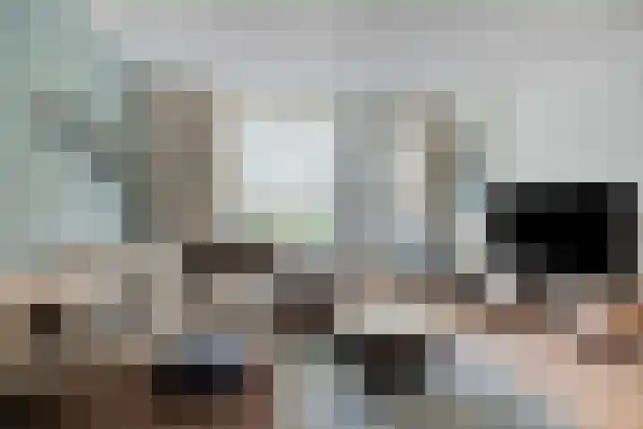 Kokmeeuw 2 Weert thumbnail 7