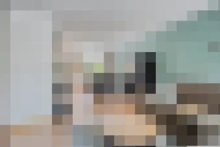 Kokmeeuw 2 Weert thumbnail 8