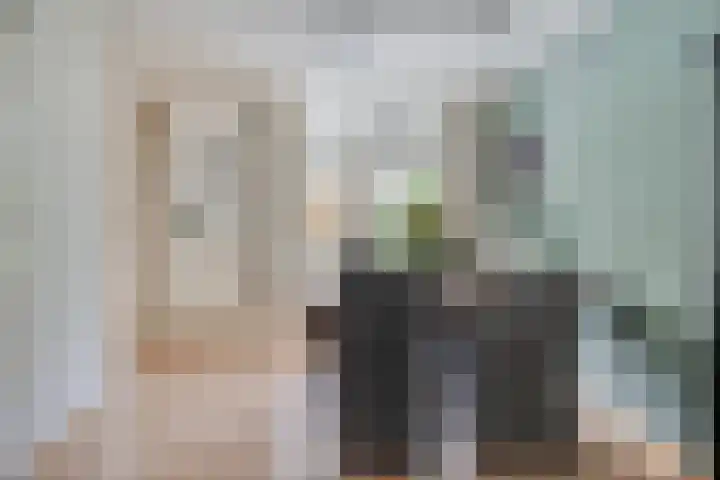 Kokmeeuw 2 Weert thumbnail 9