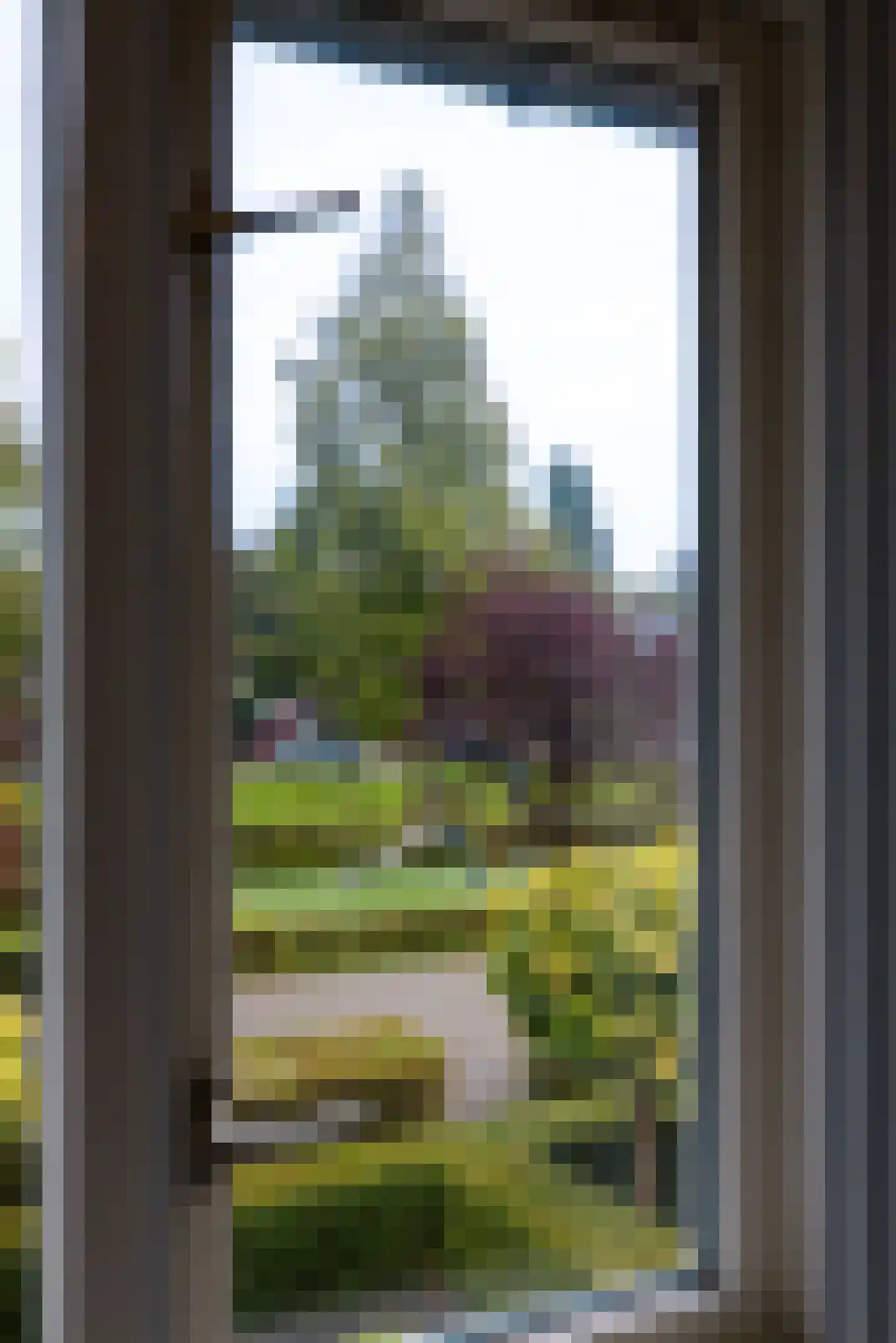 Kokmeeuw 21 's-Hertogenbosch thumbnail 10