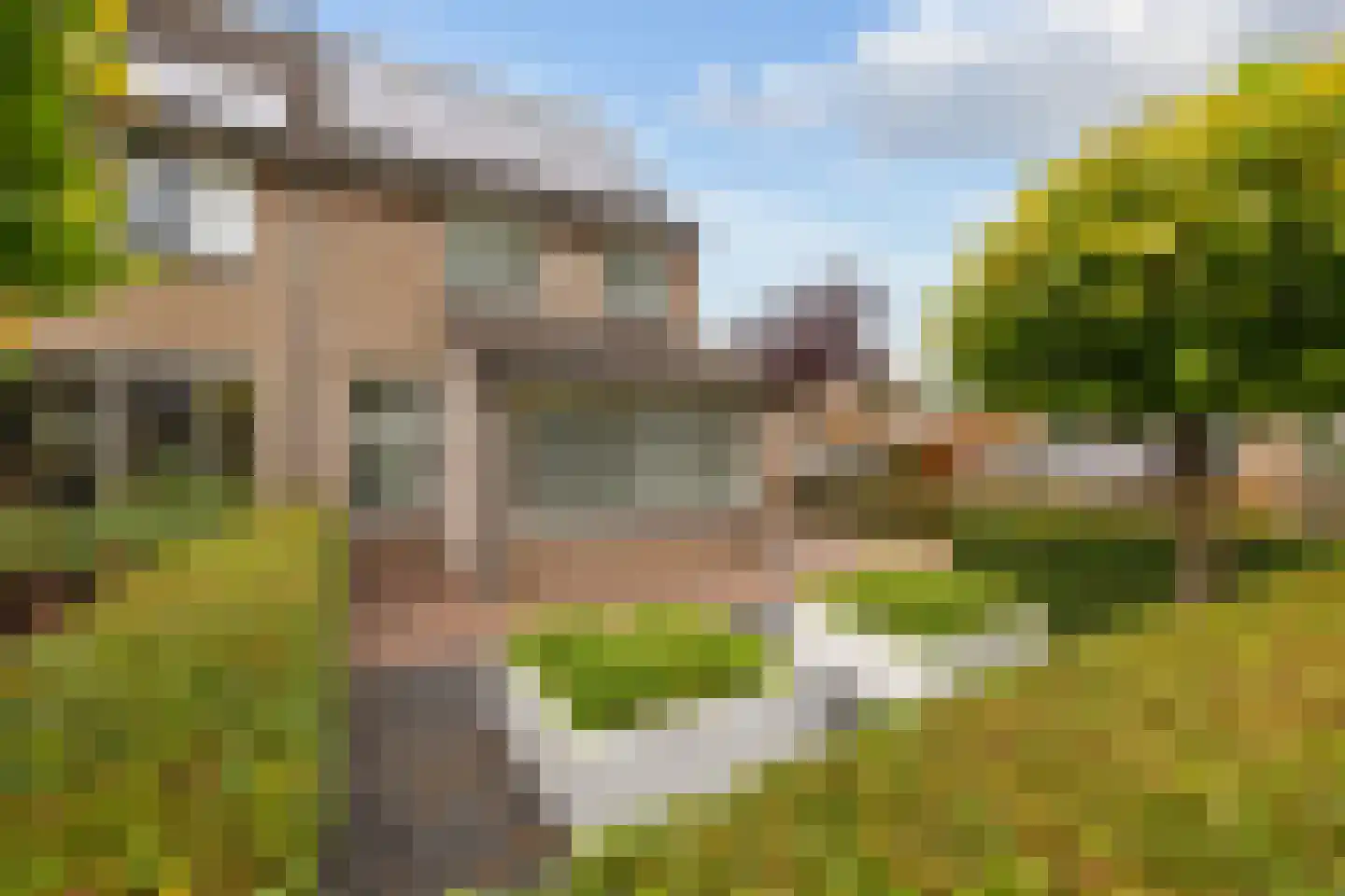 Kokmeeuw 21 's-Hertogenbosch thumbnail 11