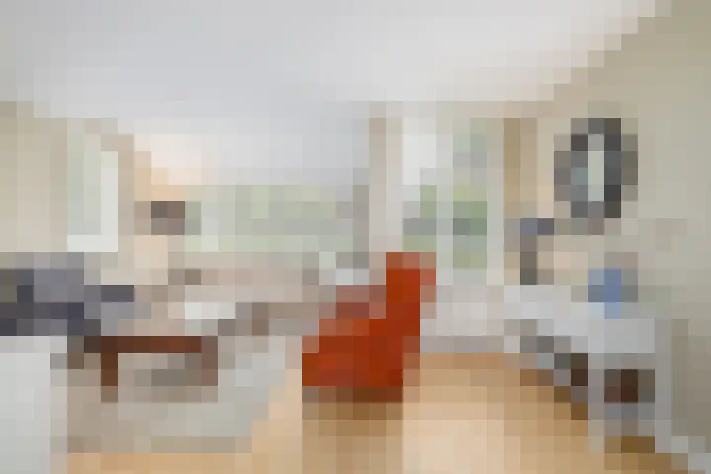 Kokmeeuw 21 's-Hertogenbosch thumbnail 12