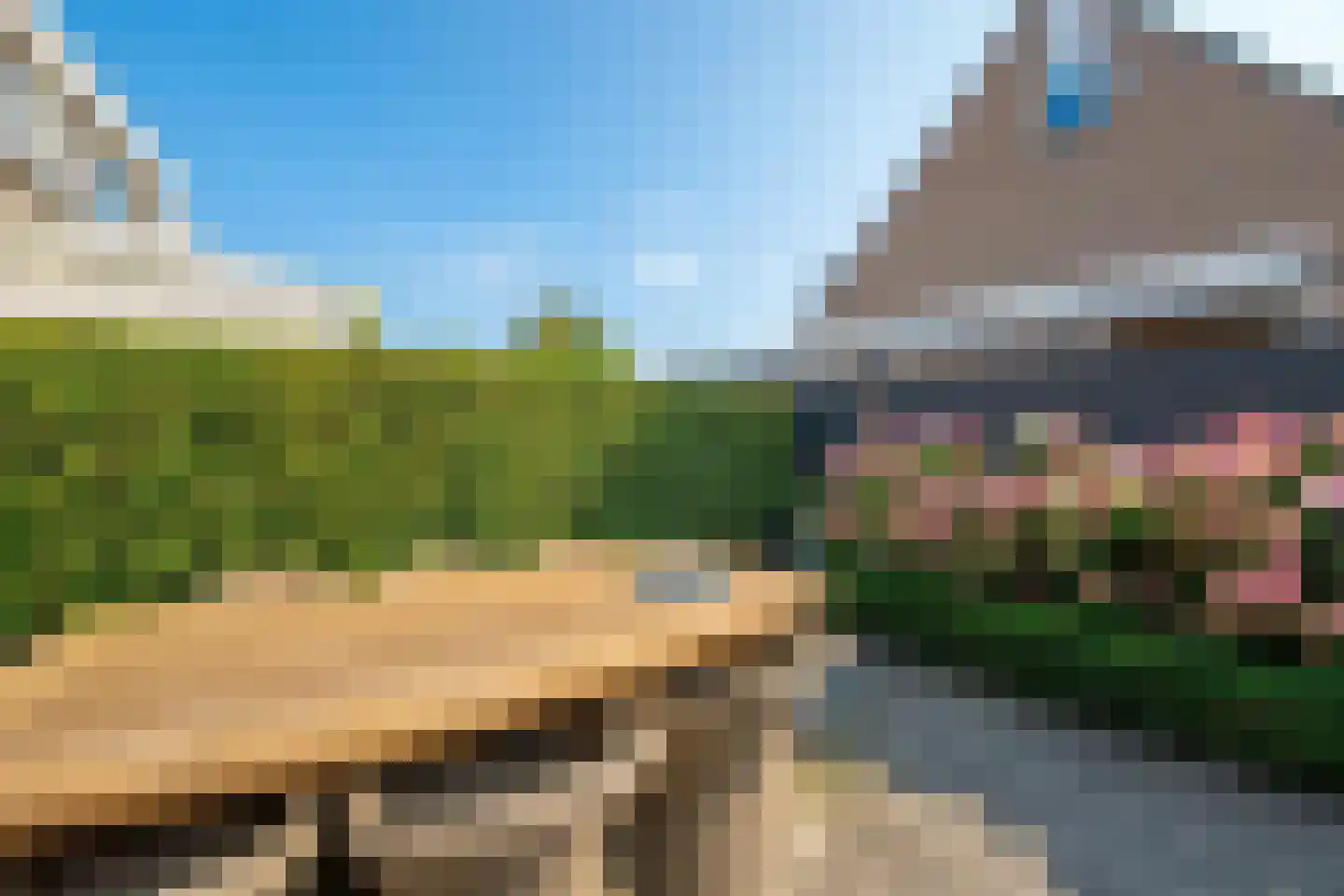 Kokmeeuw 21 's-Hertogenbosch thumbnail 18