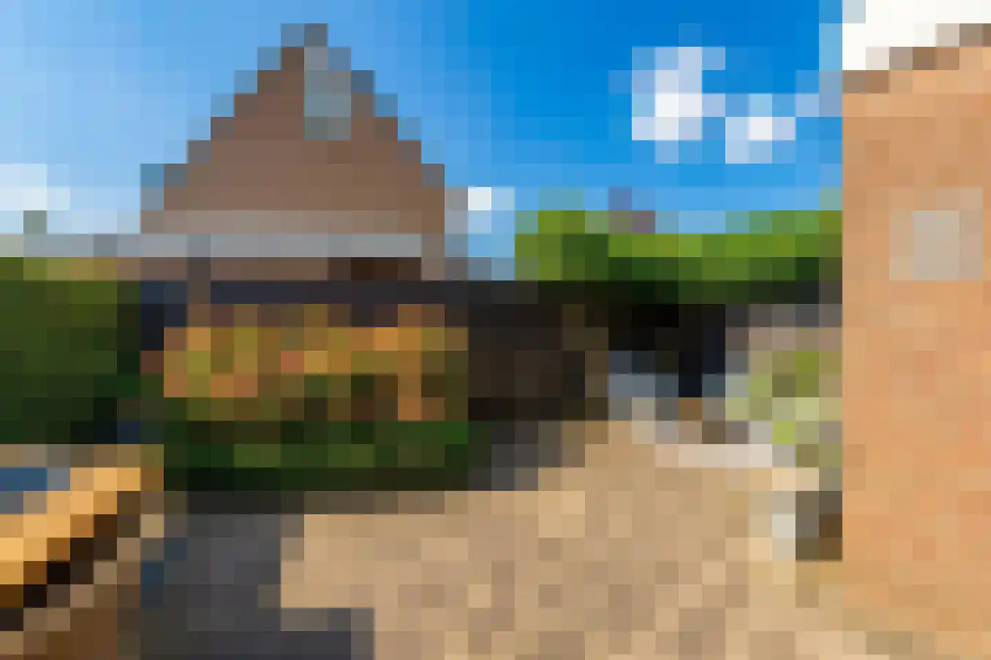 Kokmeeuw 21 's-Hertogenbosch thumbnail 24