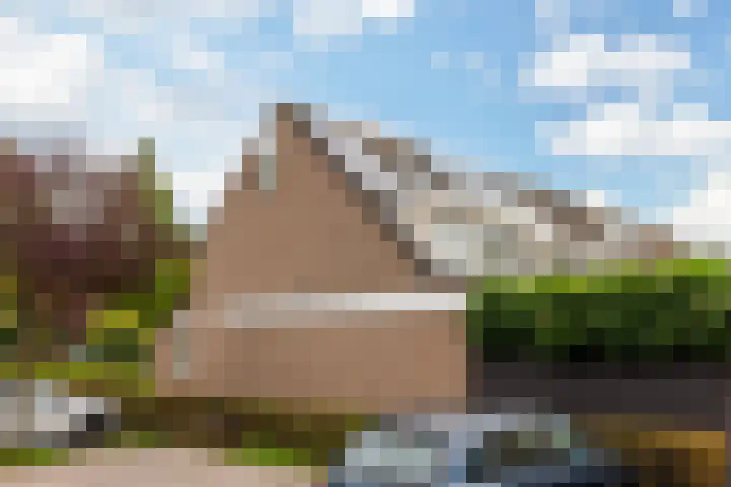 Kokmeeuw 21 's-Hertogenbosch thumbnail 25
