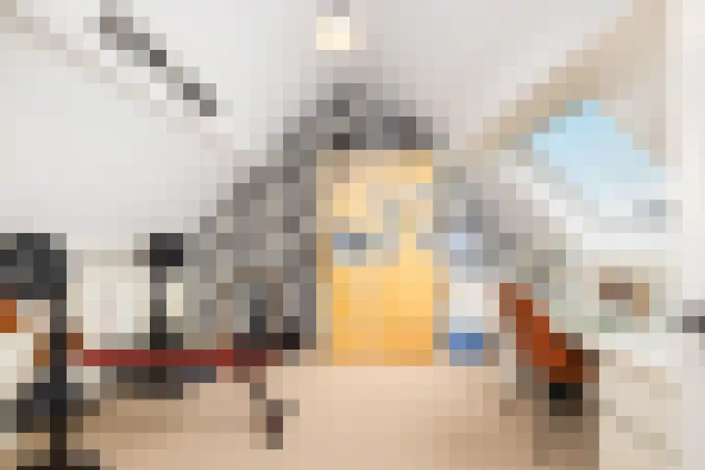 Kokmeeuw 21 's-Hertogenbosch thumbnail 28