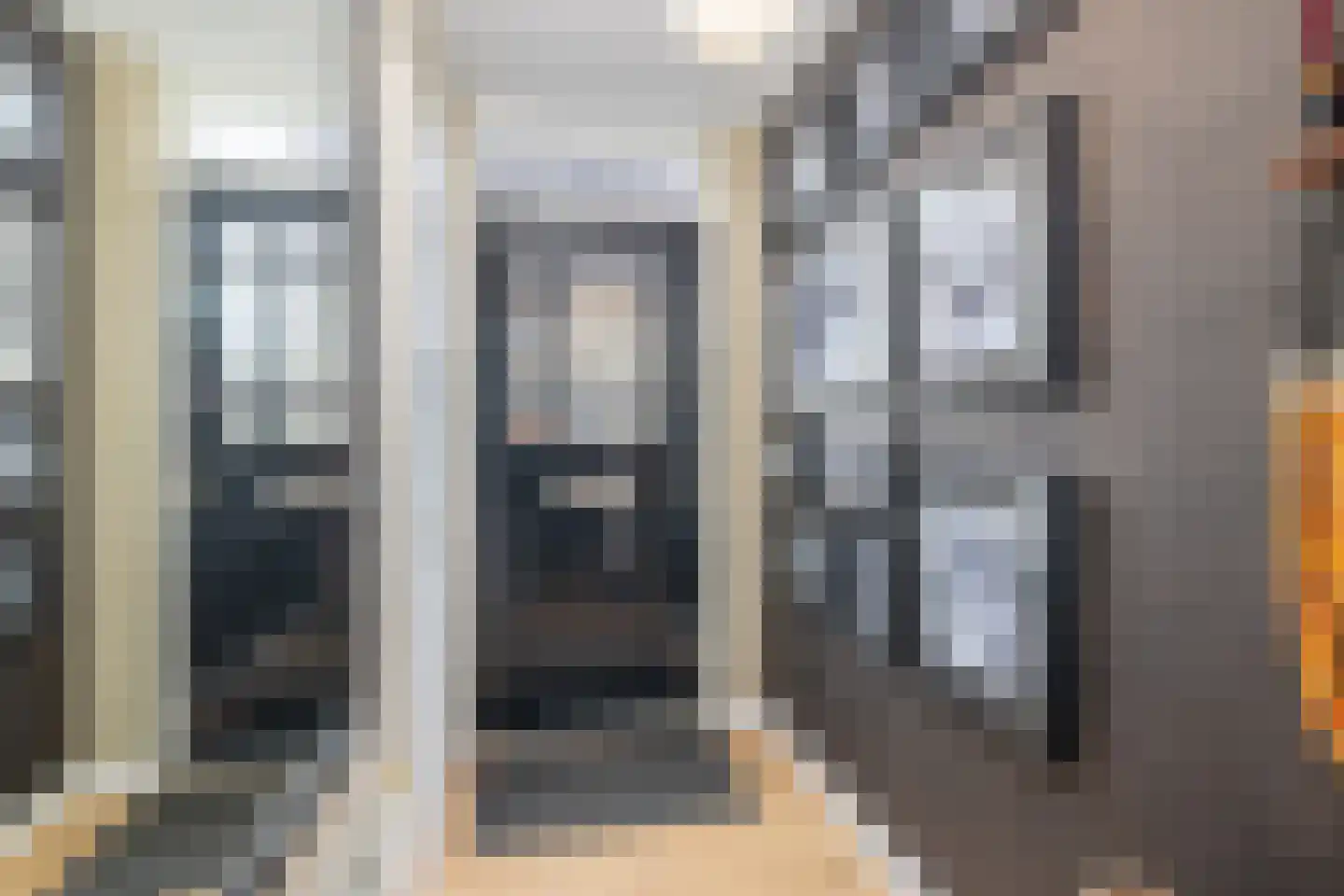 Kokmeeuw 21 's-Hertogenbosch thumbnail 29