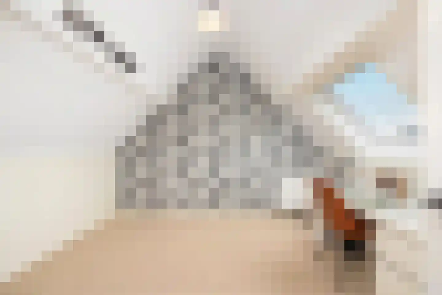 Kokmeeuw 21 's-Hertogenbosch thumbnail 33