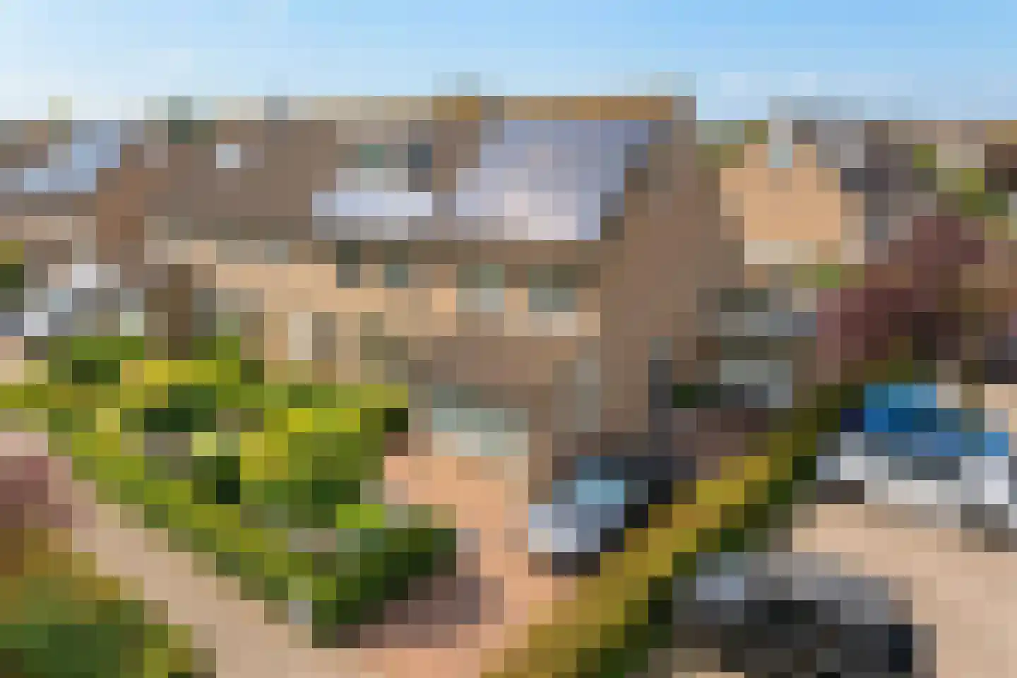 Kokmeeuw 21 's-Hertogenbosch thumbnail 33