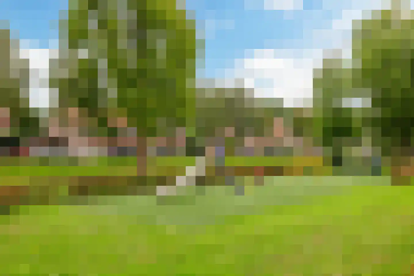 Kokmeeuw 21 's-Hertogenbosch thumbnail 34