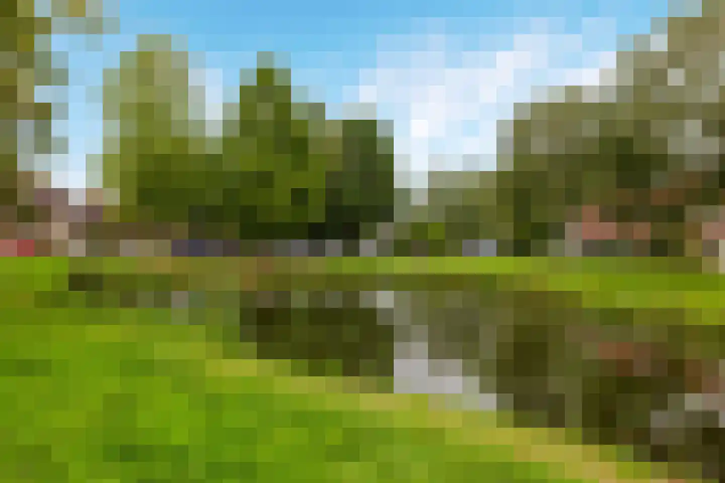 Kokmeeuw 21 's-Hertogenbosch thumbnail 35
