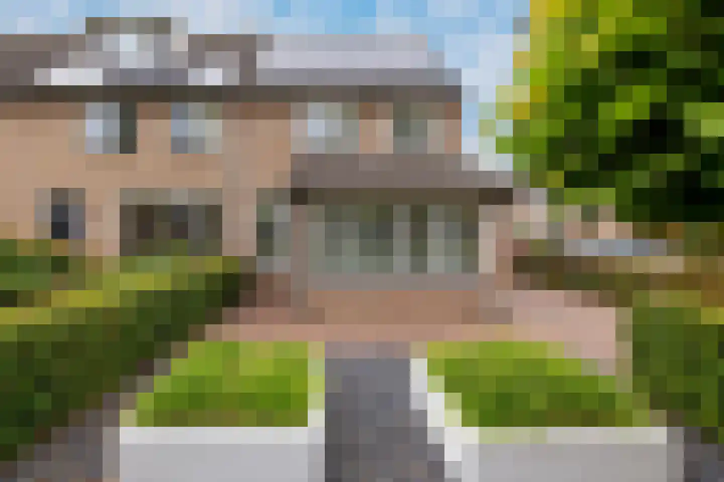 Kokmeeuw 21 's-Hertogenbosch thumbnail 37