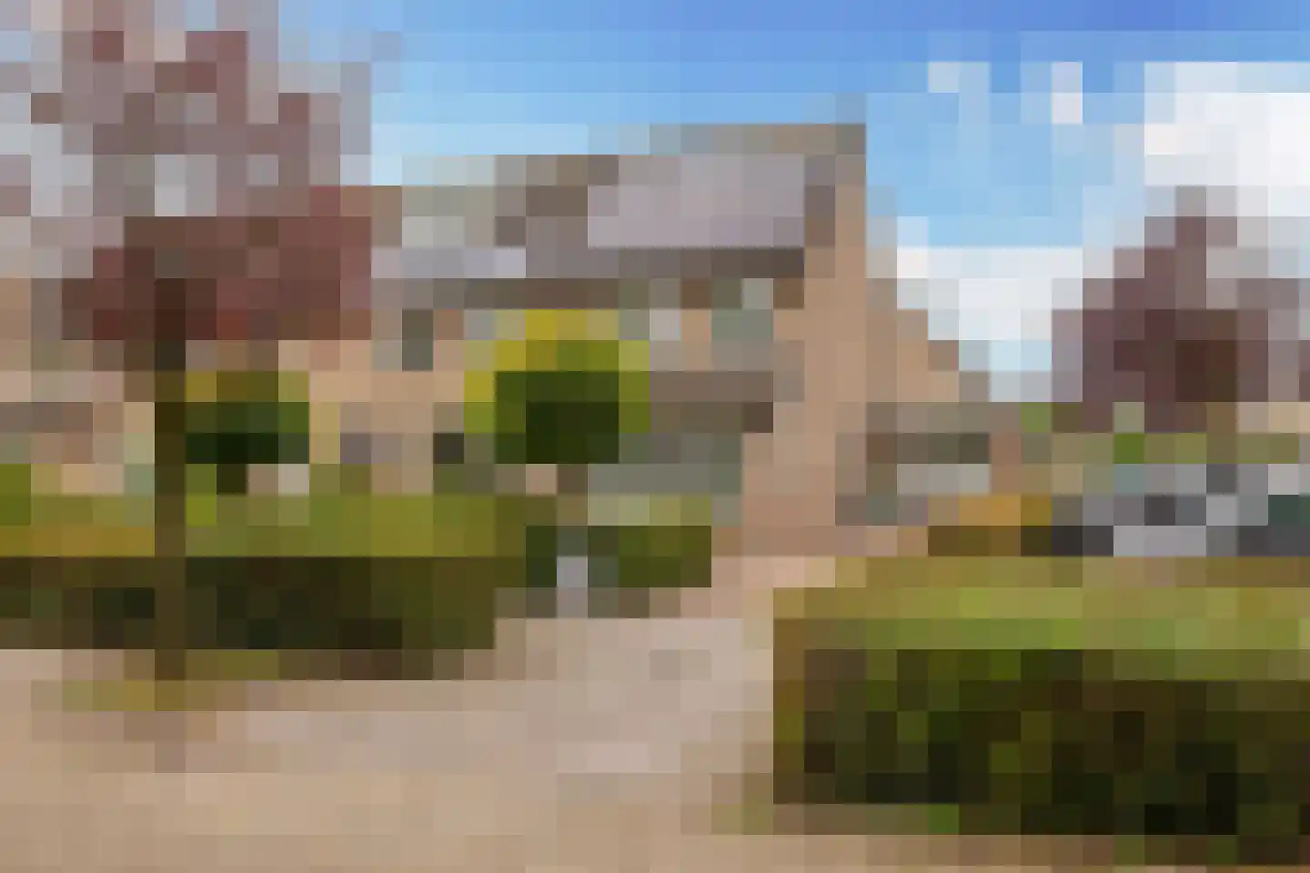 Kokmeeuw 21 's-Hertogenbosch thumbnail 37