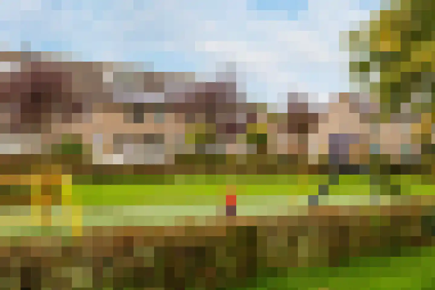 Kokmeeuw 21 's-Hertogenbosch thumbnail 38