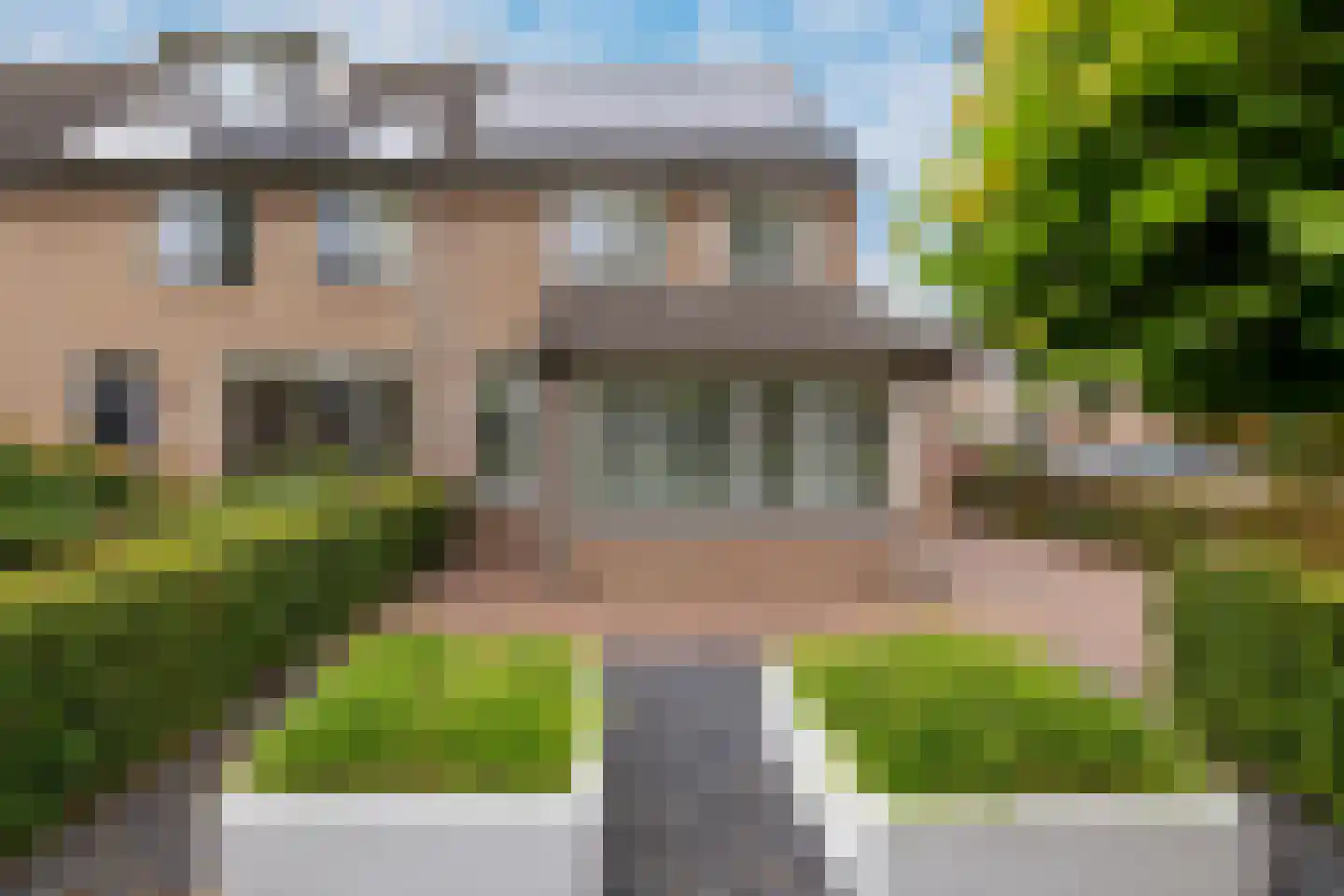Kokmeeuw 21 's-Hertogenbosch thumbnail 38