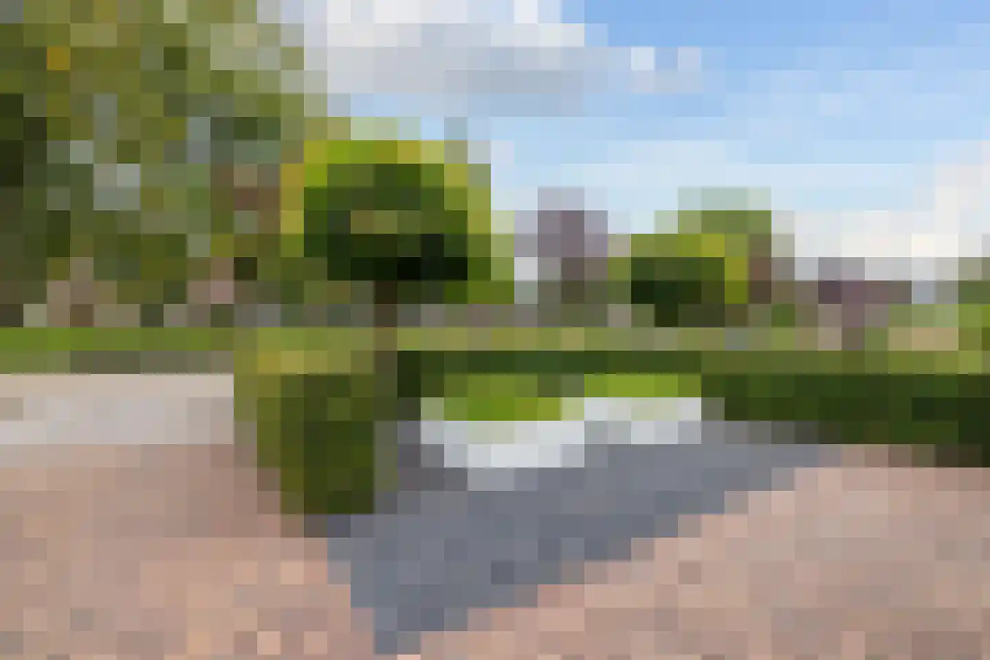 Kokmeeuw 21 's-Hertogenbosch thumbnail 4