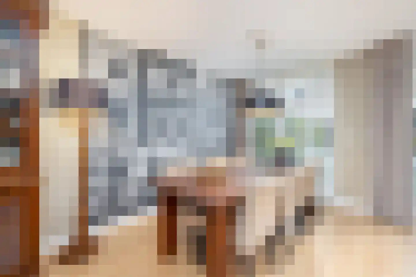 Kokmeeuw 21 's-Hertogenbosch thumbnail 6