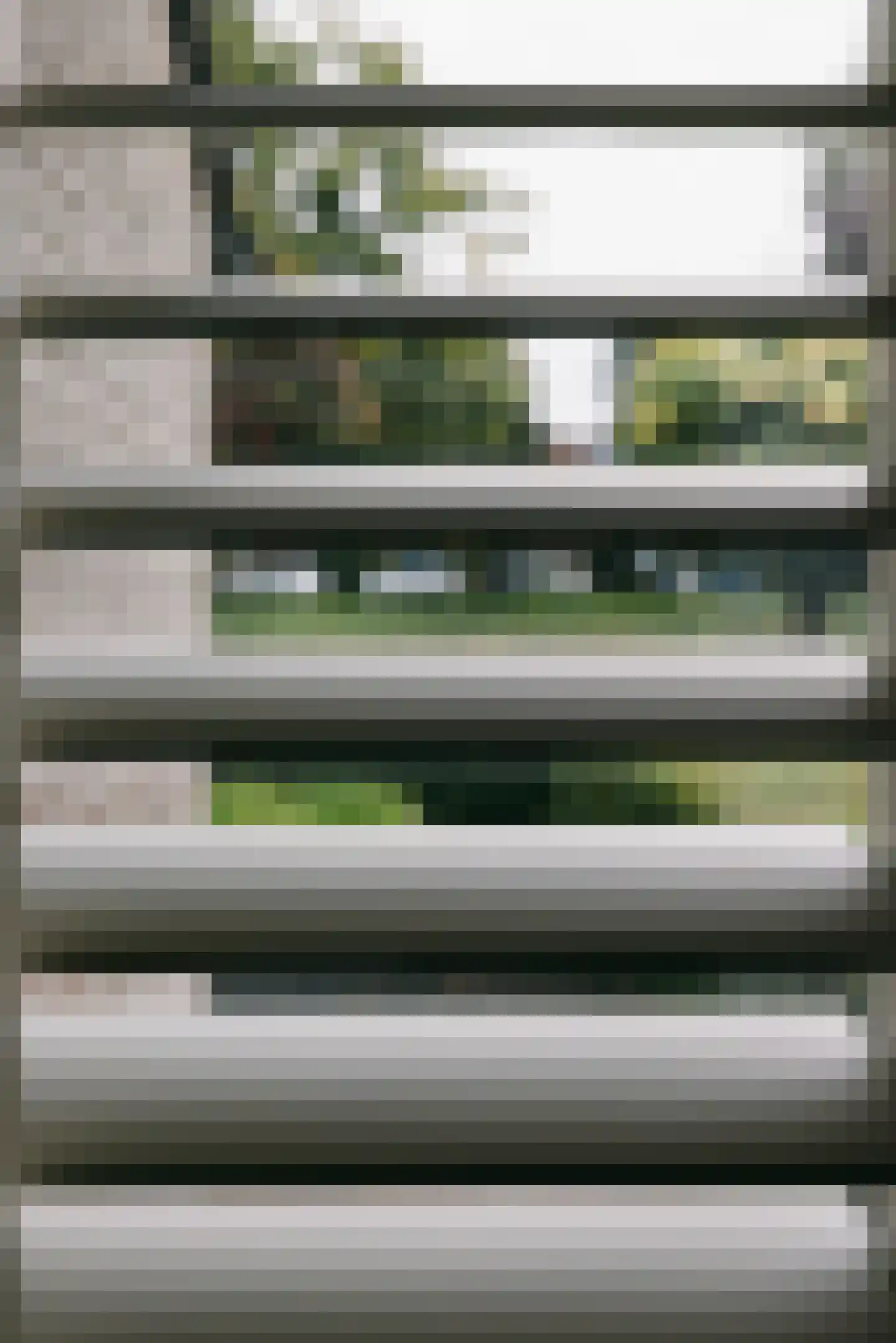Kokmeeuw 21 's-Hertogenbosch thumbnail 7
