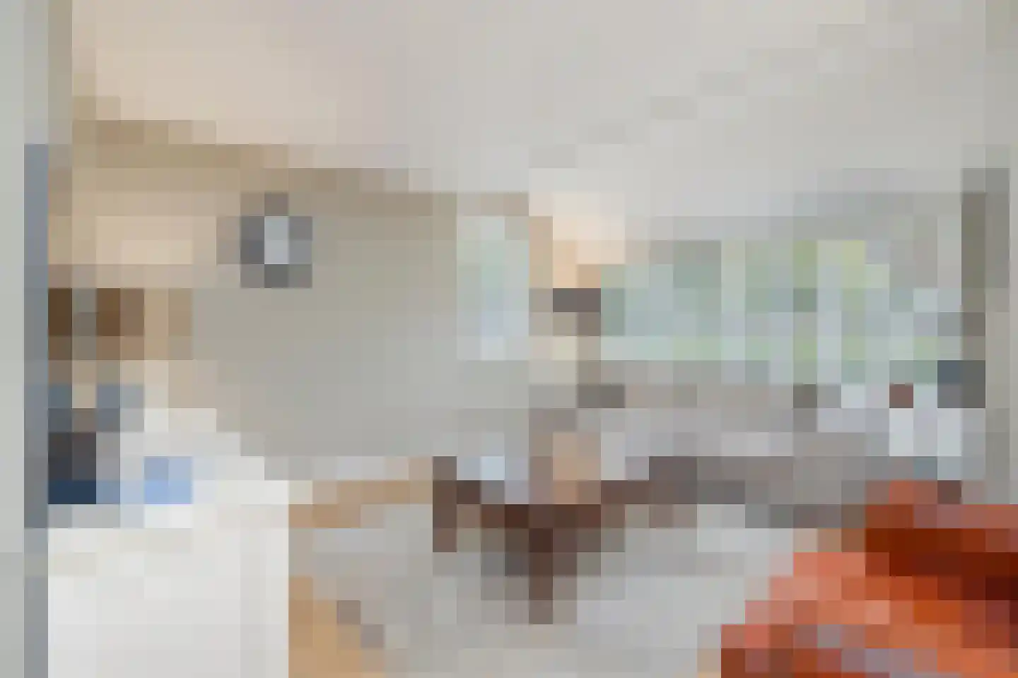 Kokmeeuw 21 's-Hertogenbosch thumbnail 8