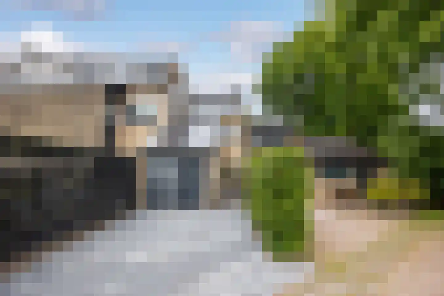 Kokmeeuw 23 Leusden