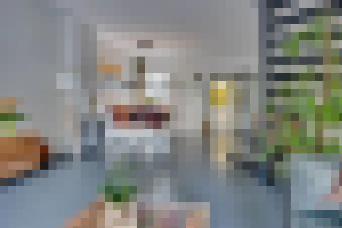 Kokmeeuw 23 Leusden thumbnail 10