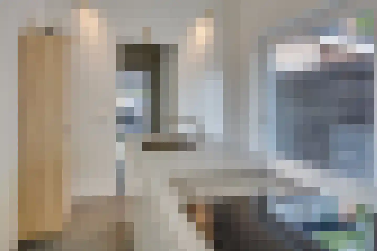 Kokmeeuw 23 Leusden thumbnail 14