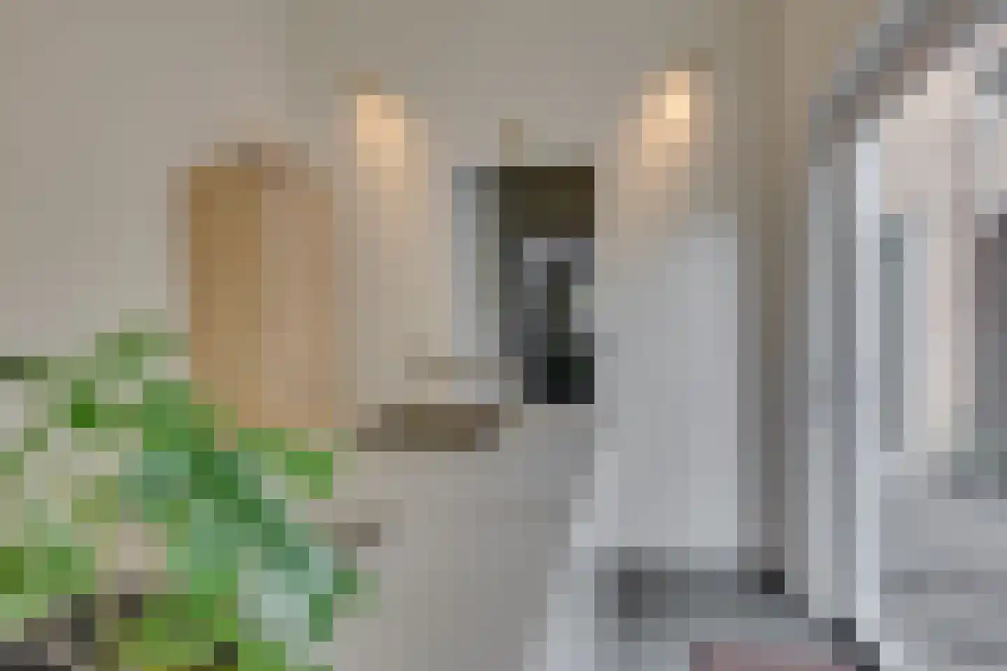 Kokmeeuw 23 Leusden thumbnail 15