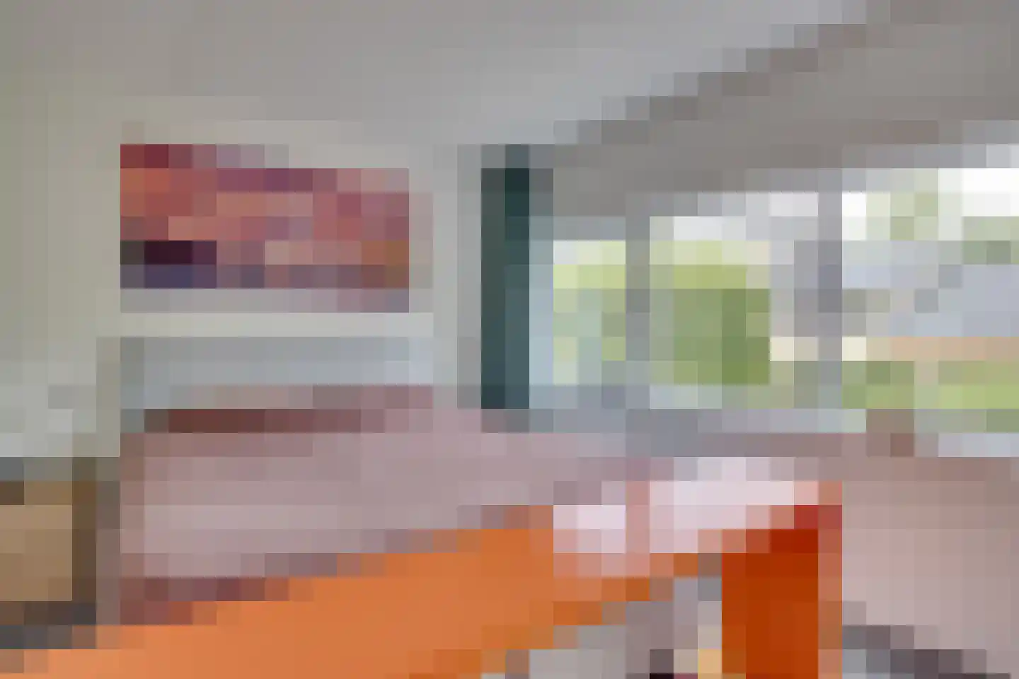 Kokmeeuw 23 Leusden thumbnail 18