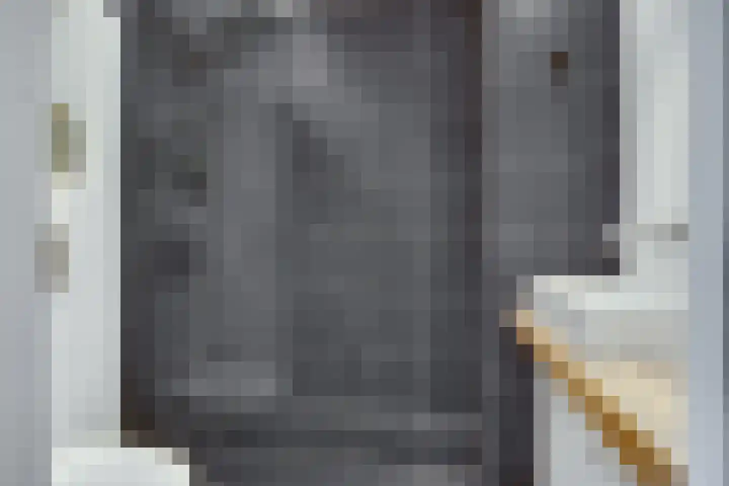 Kokmeeuw 23 Leusden thumbnail 20